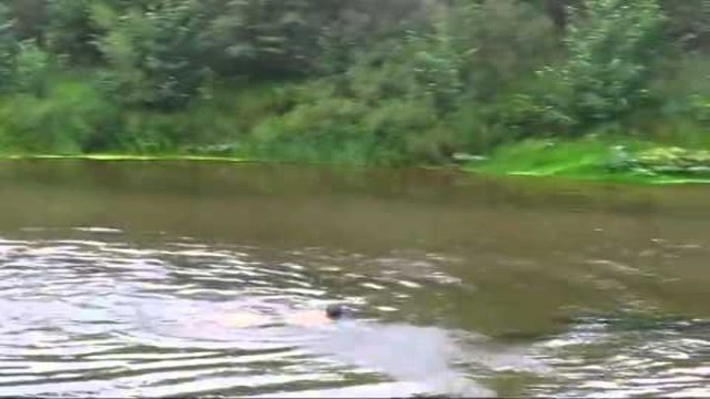 Всемогущий 