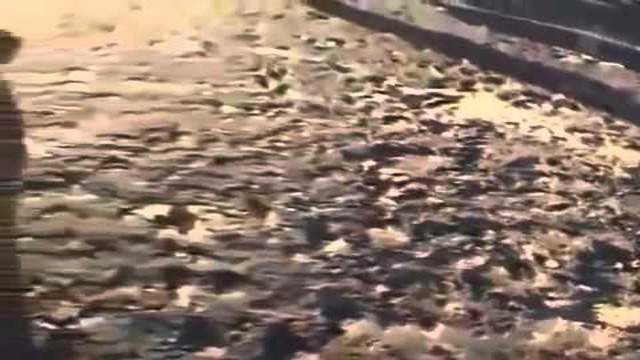 Самое мощное оружие России