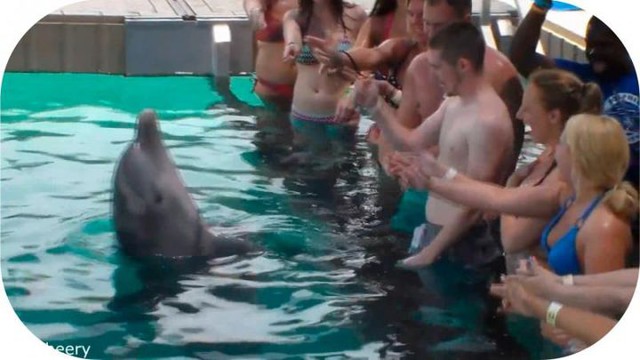 Нарезка приколов