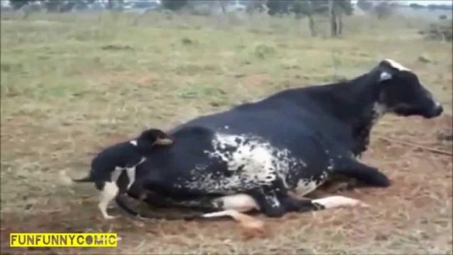 Другие среди нас