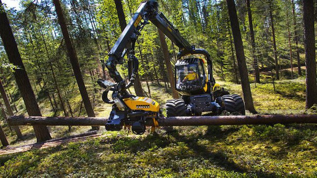 Железный дровосек