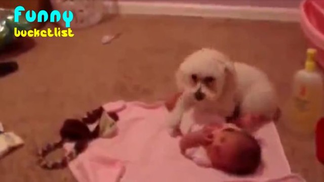 Щенок спас младенца от пылесоса