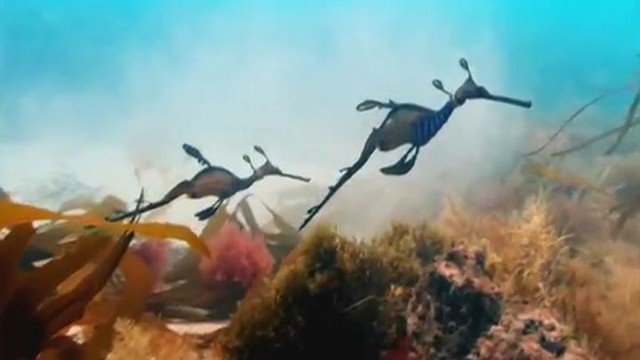 Как прекрасен этот Мир