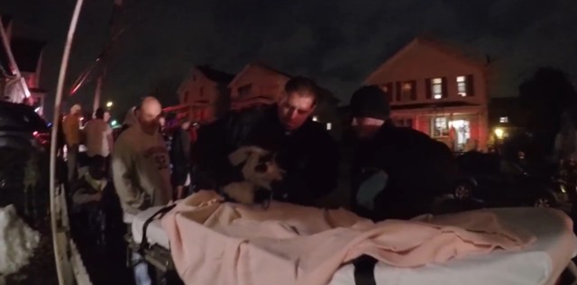 Пожарные спасли кота из огня