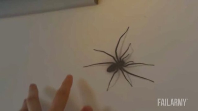 Лучшие фейлы прошедшей недели