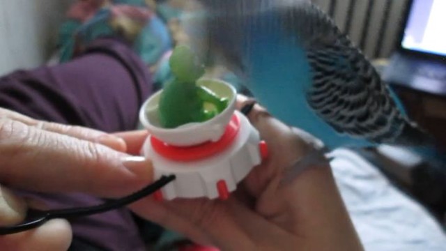 Настоящий кавалер