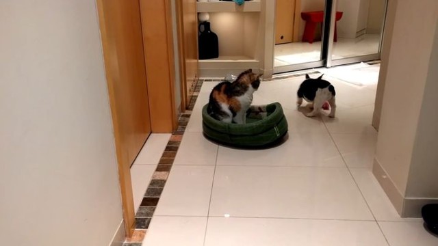 Отвоевал жилплощадь