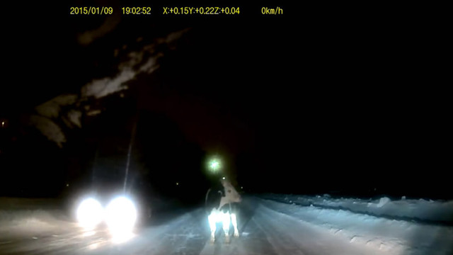 Дерзкий побег