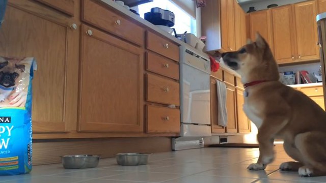 Ты - не ты, когда голоден 