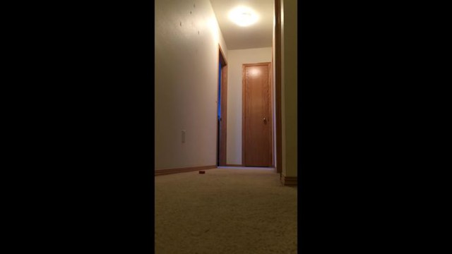 Крик души попугая