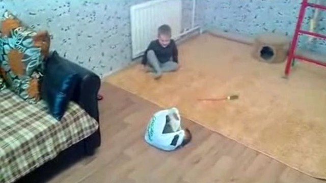 Новый гость в семье