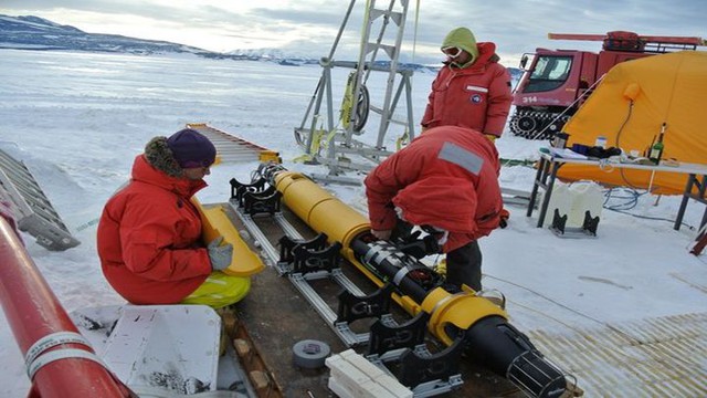 Невиданный биоценоз подо льдами Антарктики