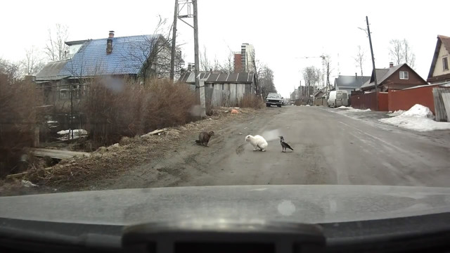 Разборки на дороге в Петрозаводске