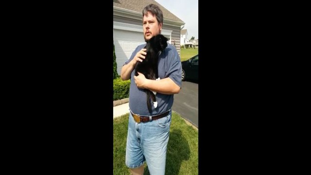 Мужчина помогает своей раненной кошке справить нужду