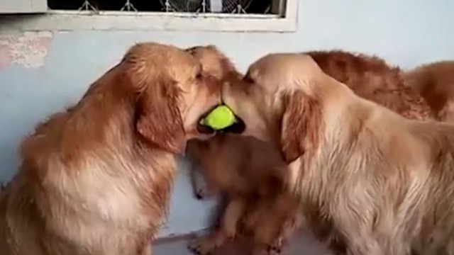 Пришел и всех помирил