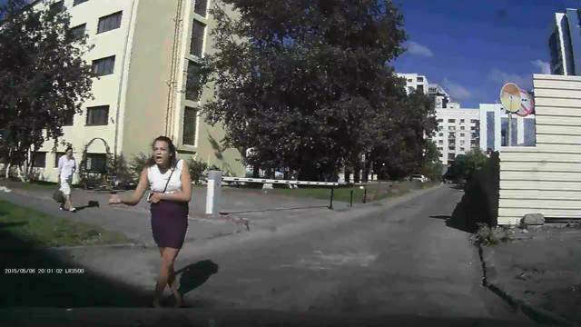 Столкновение Дмитрия и истерички