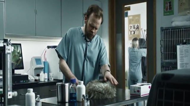  Ужасное происшествие в кабинете ветеринара