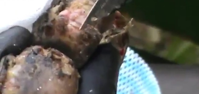 Трудовые тропические "мозоли"