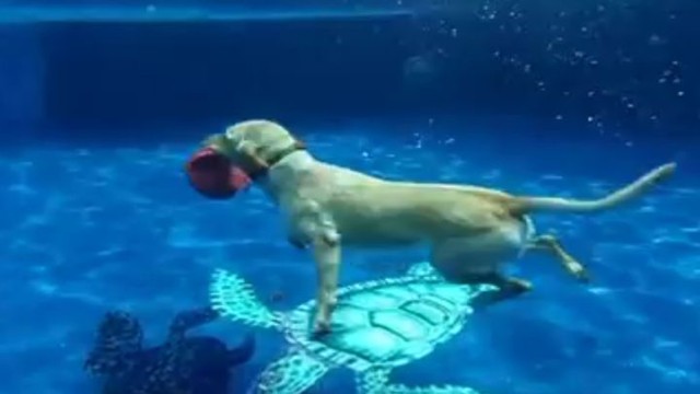 Одна хорошо, а две лучше!