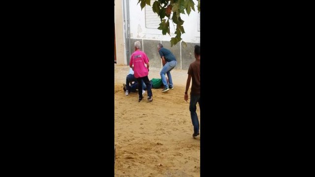 Бык догнал и убил мужчину