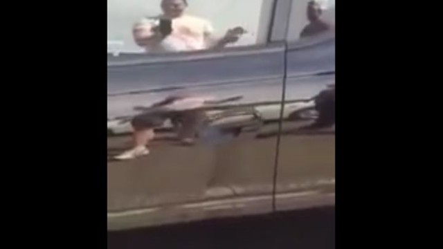 Огромный паук залез под ручку дверцы автомобиля