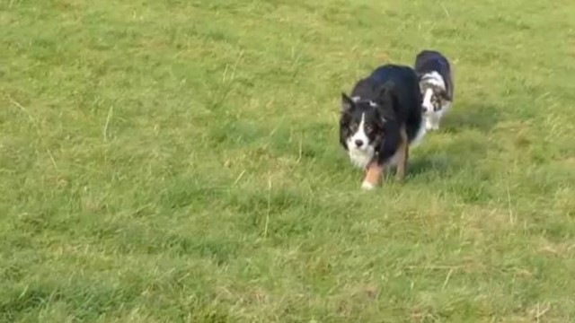 Настоящие мастера шпионажа