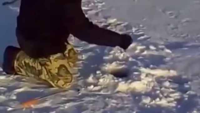 Суровый ловитель щук