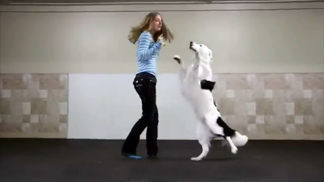 Танцевальный номер с собакой