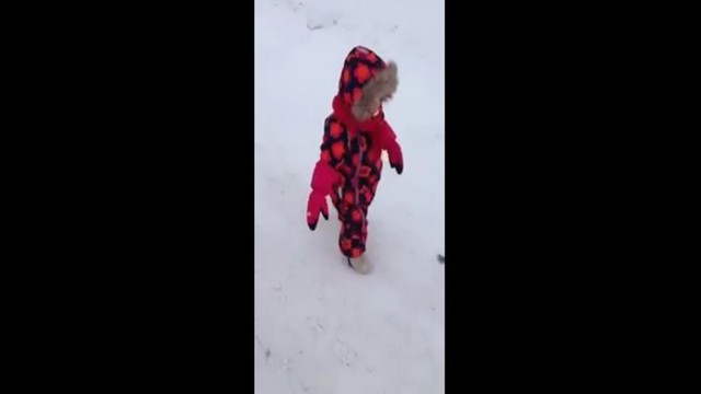 Почему не стоит поворачиваться спиной к кошкам
