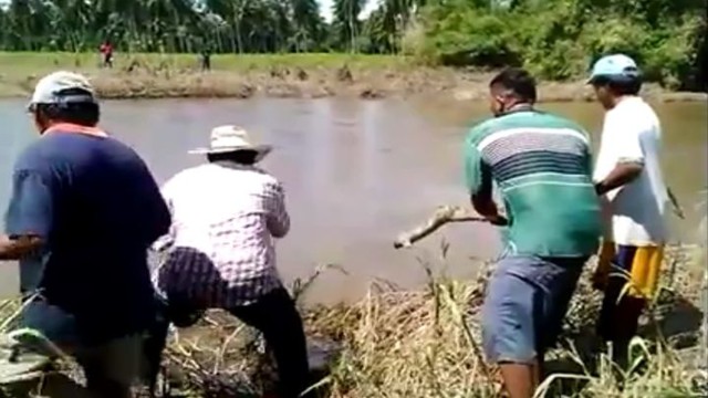 Крокодил остался голодным