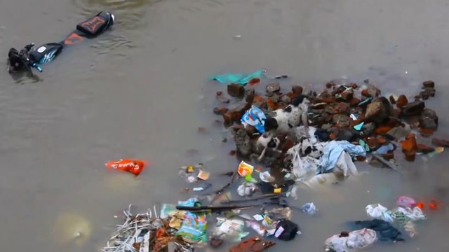 Вот что значит настоящая мама! Храбрая собака спасает своих щенков во время наводнения