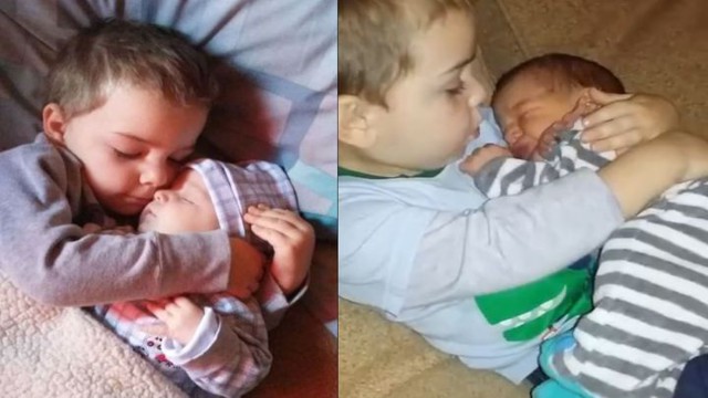 Братская любовь пуще каменных стен