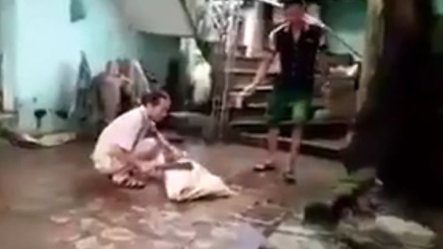 Забой собаки во Вьетнаме 