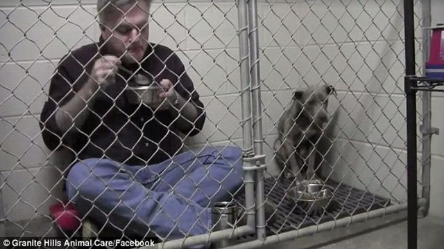 Заботливый ветеринар позавтракал в клетке с испуганной и брошенной собакой, чтобы успокоить её