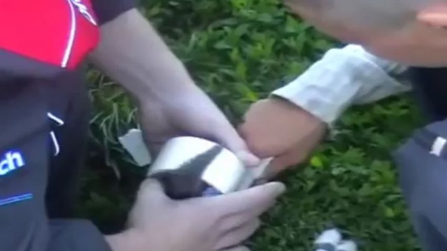 Живодеры взорвали кота петардой