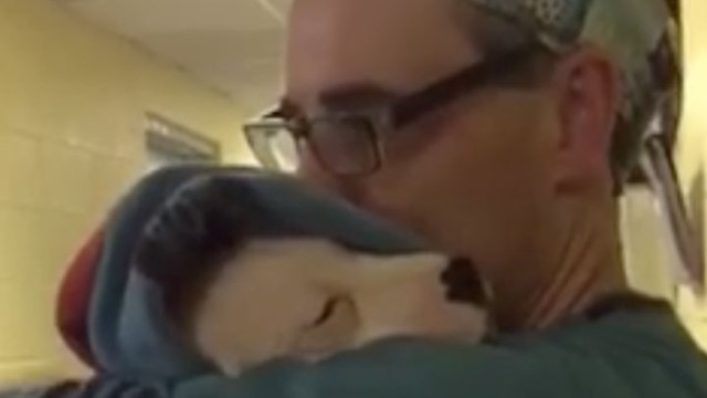 Этот перепуганный щенок не переставал скулить после операции. То, как его успокоил ветеринар, заслуживает аплодисментов!