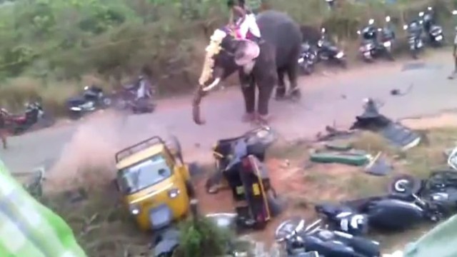 Во время индийского фестиваля разгневанный слон растоптал транспортные средства