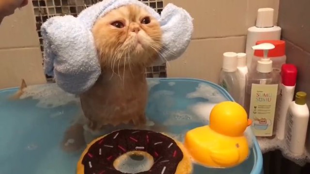 Не забывайте о водных процедурах!