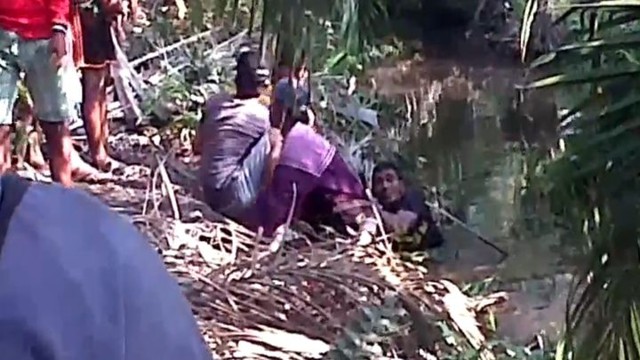 Не стоит купаться в тропических водоемах