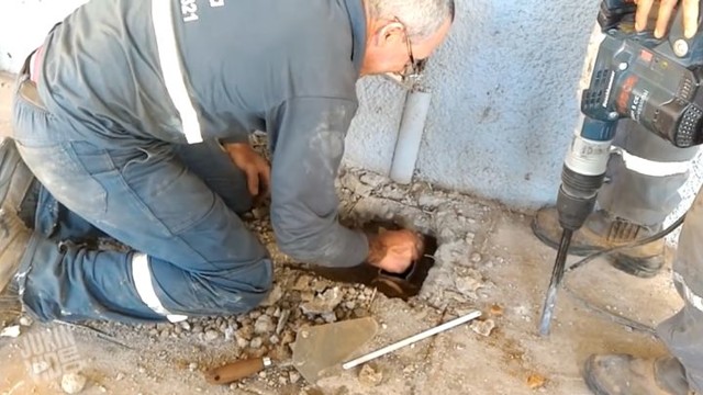 Спасение котят из водопроводной трубы 