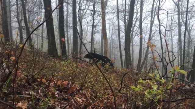 Как быстро построить кирпичный дом