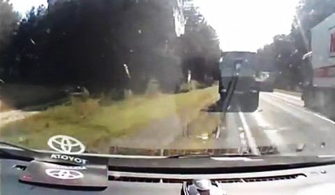 Путешественникам на этот раз повезло