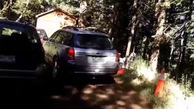 Спасение медвежонка, заблокировавшего себя в автомобиле