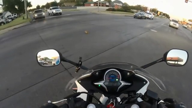 Мотоциклистка спасает котенка