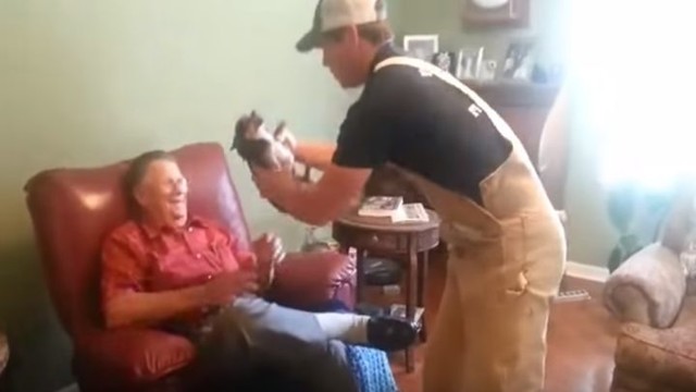 Хитрый пёс притворяется мертвым, когда посторонний берет его на руки