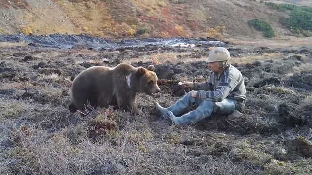 Самый обычный день в Сибири: рабочий во время перерыва решил покормить с рук медведя