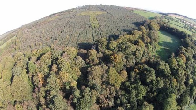 В ирландском лесу обнаружили огромный кельтский крест, сделанный из крон деревьев