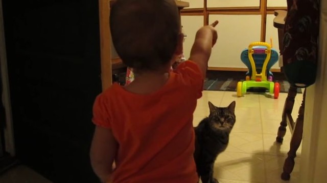 Кот и малыш отлично поняли друг друга! 