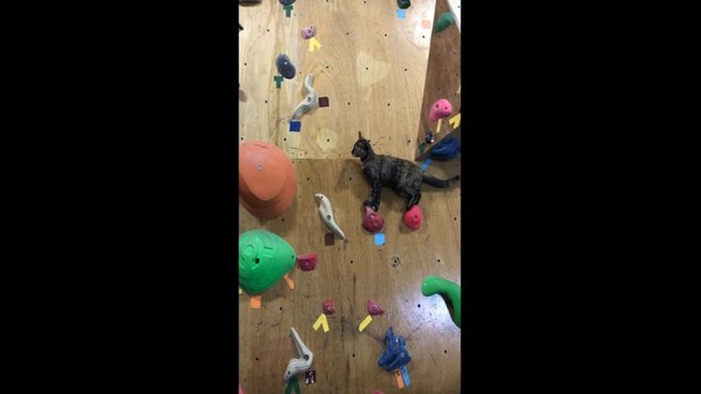 Опасное скалолазание без страховки