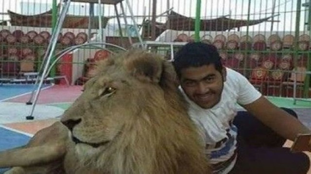 Лев загрыз дрессировщика на глазах детей
